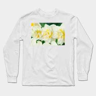 Narcissus  &#39;White Lion&#39;  AGM   Division 4  Double Daffodil Long Sleeve T-Shirt